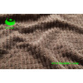 Corduroy Fabric (BS4107)